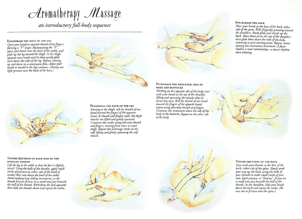 Illustration showing aromatherapy massage