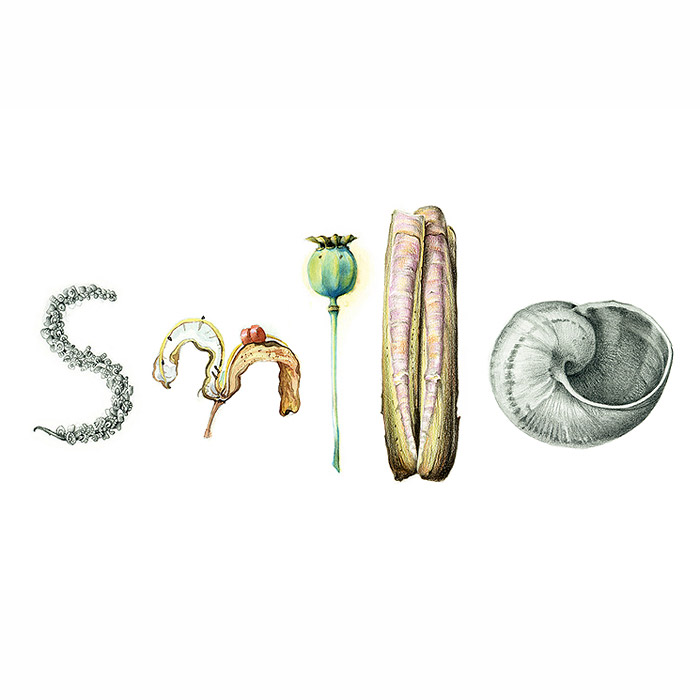 Illustration of the word Smile formed from natural objects
