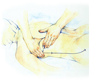 Illustration showing aromatherapy massage